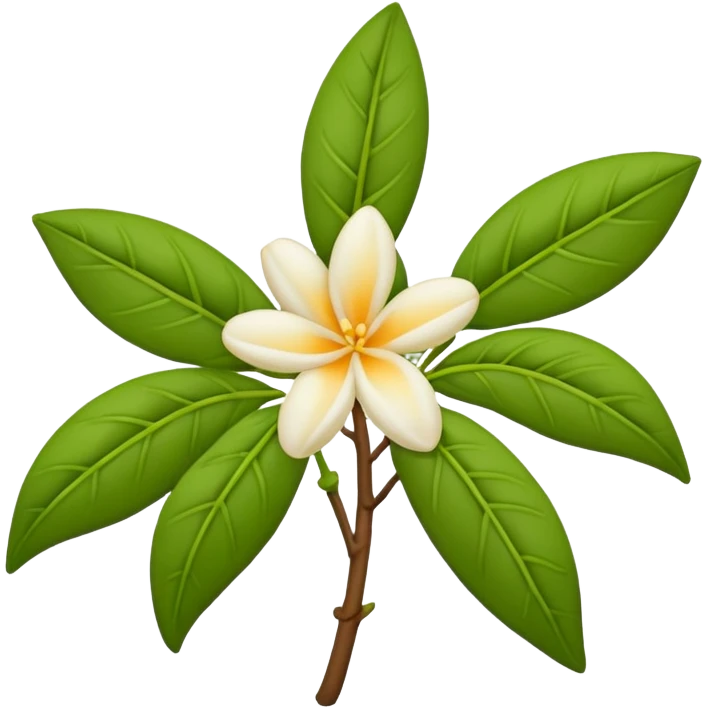wilted indian jasmine in emoji format emoji