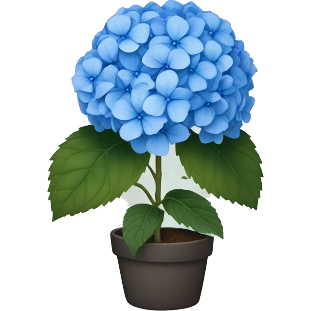 blue hydrangea  emoji