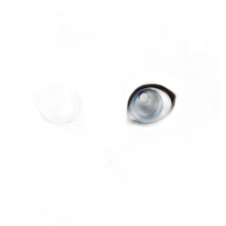 Ragdoll cat with blue eyes emoji