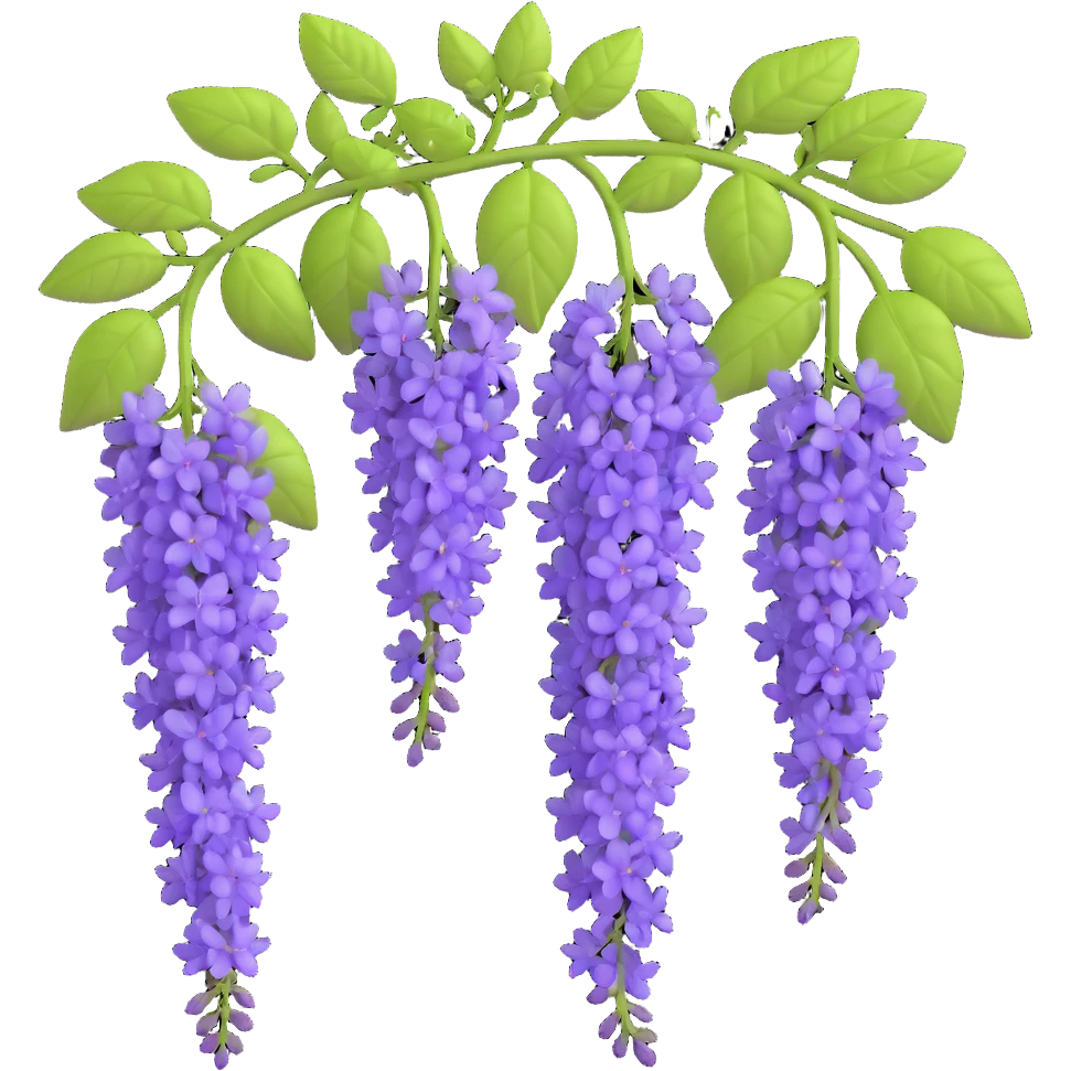 Realistic hanging wisteria racemes with detailed grape-like clusters of lavender flowers cascading downward, accompanied by light green compound leaves emoji