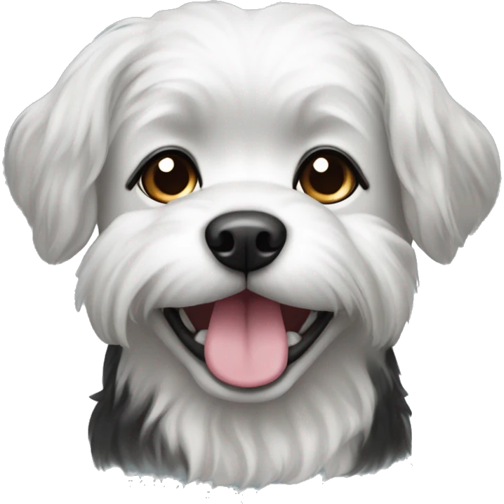 Black and white female shitzhu dog emoji