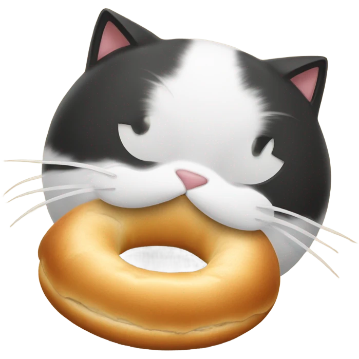 cat with bagel emoji