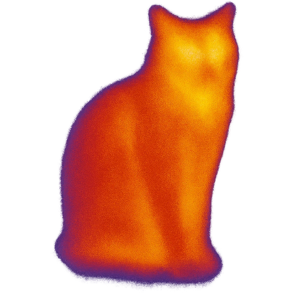 a cat emoji