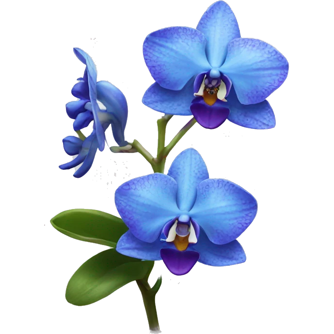Blue orchids emoji