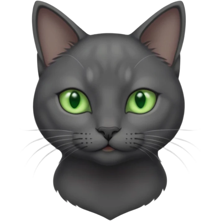 full body view of beautiful female solid dark grey cat with green eyes, grey face, white toes/paws and small white patch on her chest emoji