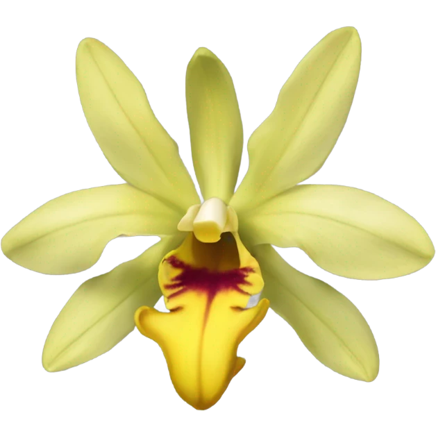 dendrobium officinale yellow flower emoji