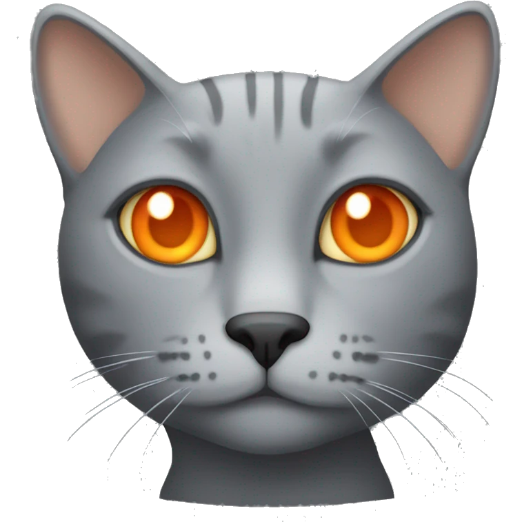 Grey cat with orange eyes  emoji