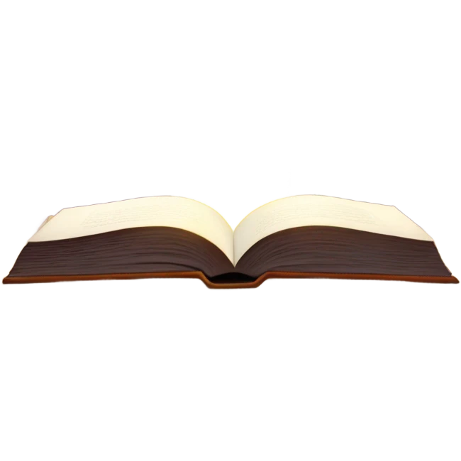book with light rays emanating from inside the book emoji