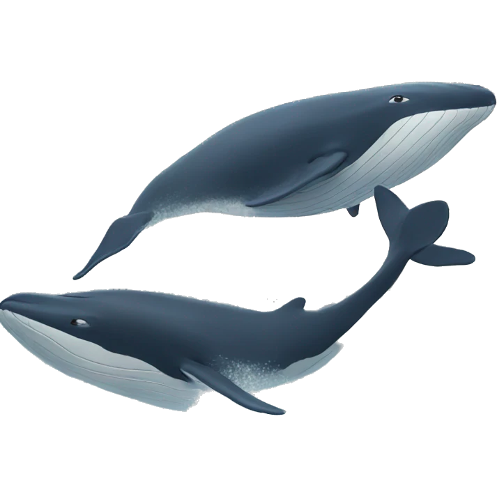 Whale watching emoji
