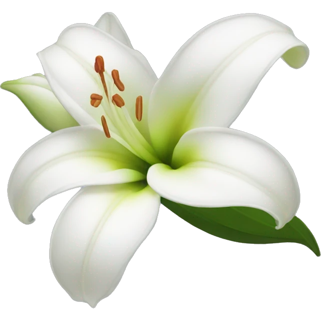 White lilie flower emoji