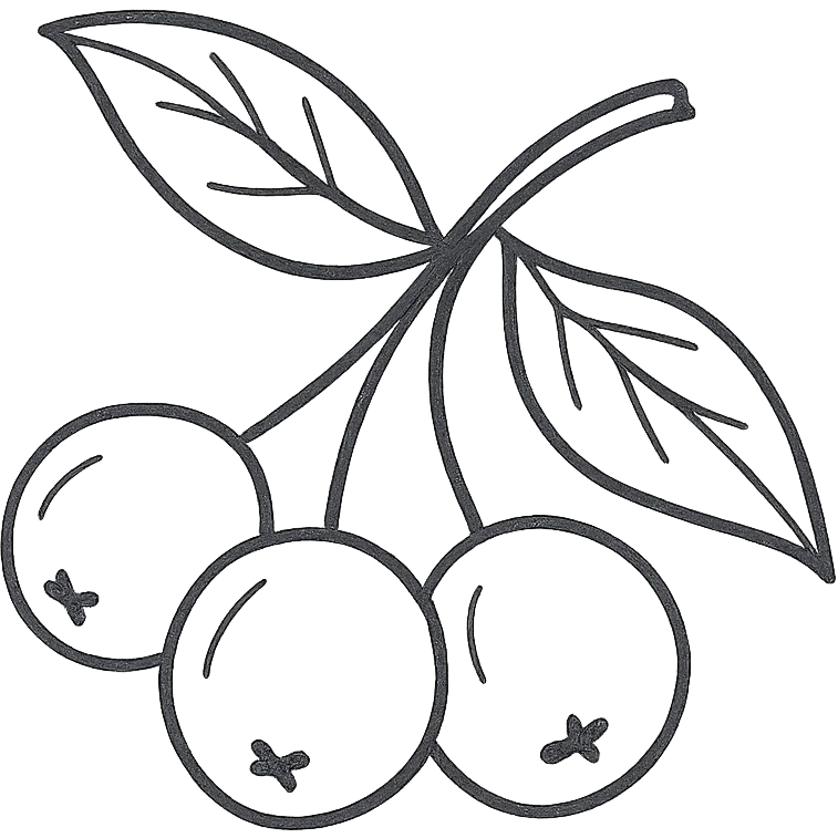 aronia berry emoji