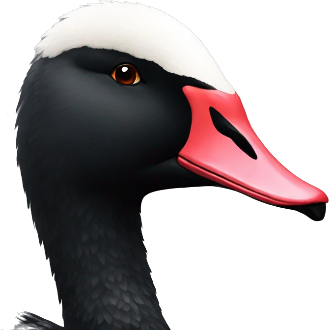 black swan emoji