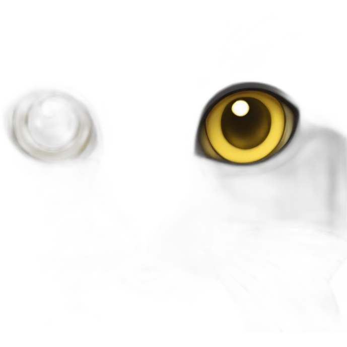 A british shorthair cat in light grey, white and beige with a white bless and with yellow eyes emoji