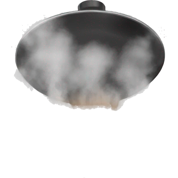 steam for cooking emoji