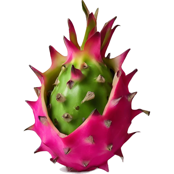 Dragon fruit  emoji