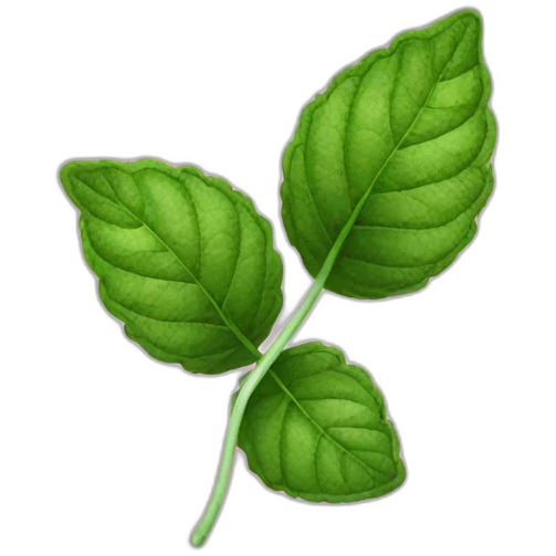 peppermint leaves emoji