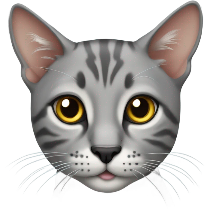 Serengeti cat sitting grey emoji