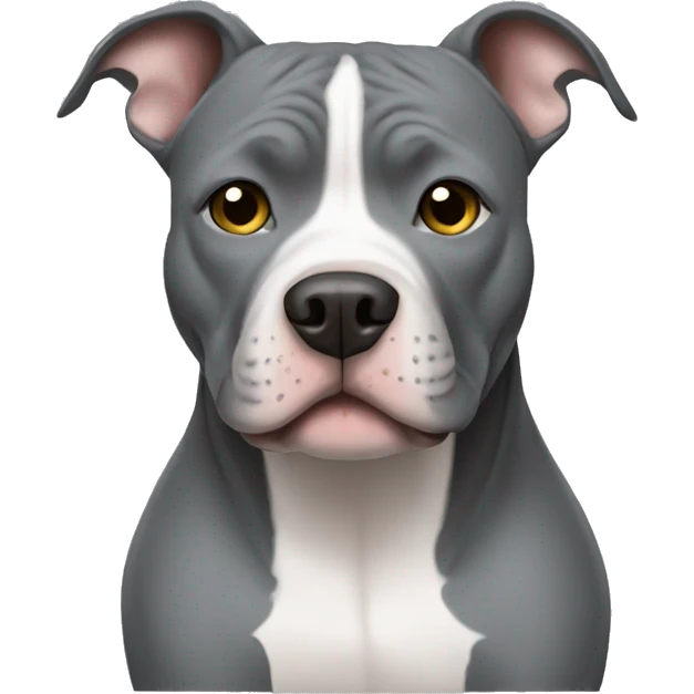 An all gray pitbull emoji