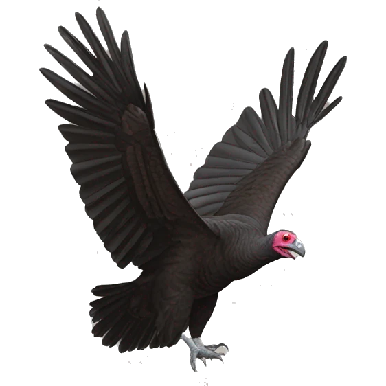 Turkey vulture emoji