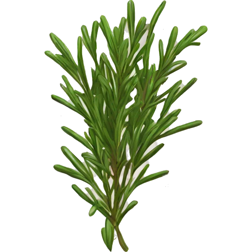 rosemary emoji