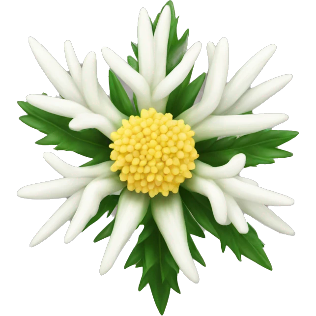 edelweiss emoji