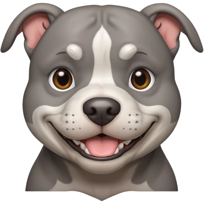 Large solid grey pitbull with an adorable face smiling  emoji