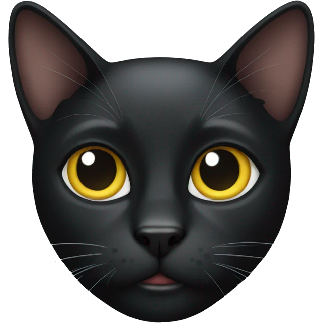 black cat  emoji