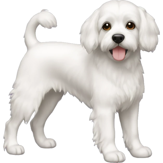 cavashon full body emoji