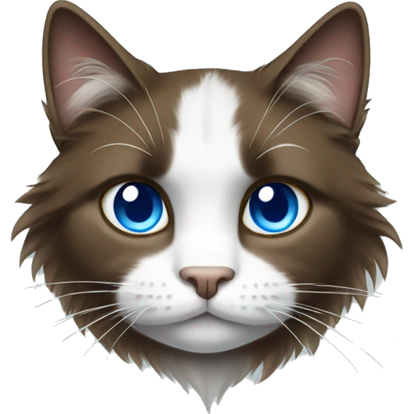 Long haired brown white and black cat with blue eyes emoji