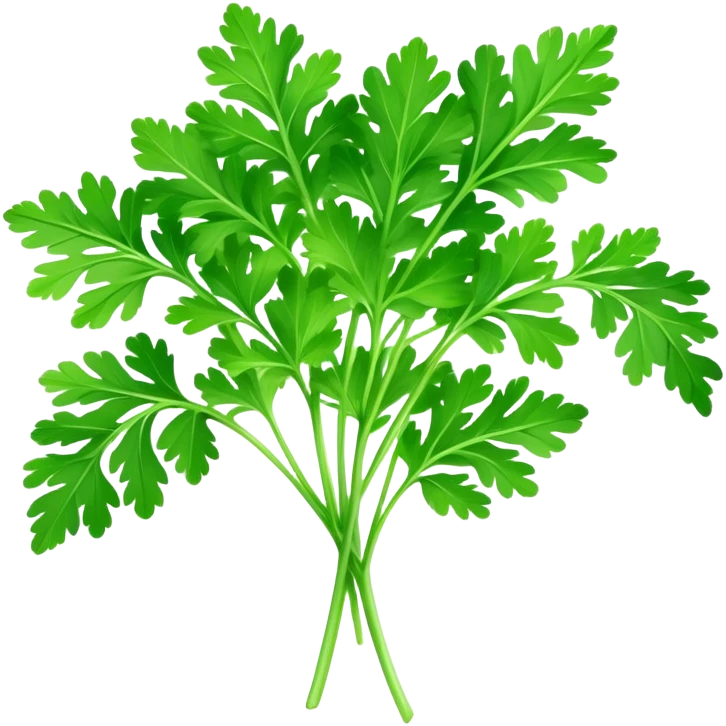 Cinematic Realistic Parsley Emoji, Fresh and vibrant, with bright green, frilly leaves that seem to shimmer with vitality. The plant exudes a sense of healthy growth and aromatic zest, inviting both beauty and flavor into any dish. Soft glowing outline, capturing the essence of freshness, health, and culinary delight in a sprig of parsley! emoji