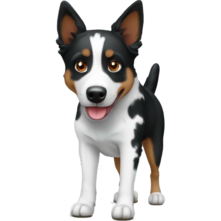 Black and white blue heeler mix with pointer emoji