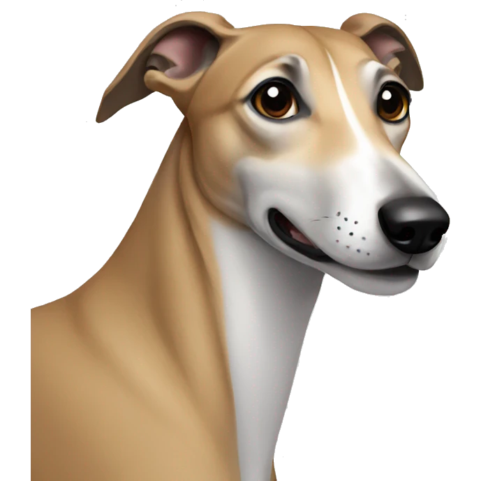 Greyhound emoji