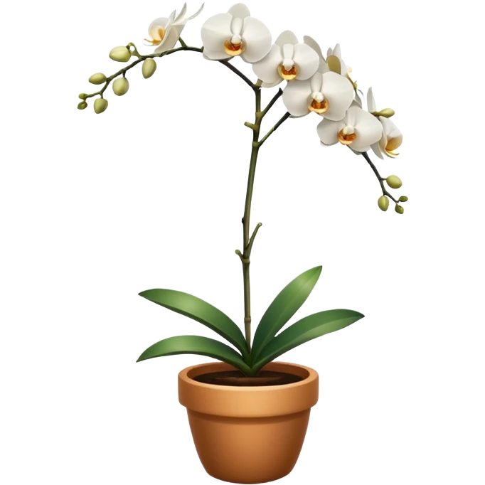Single white orchid in a pot emoji
