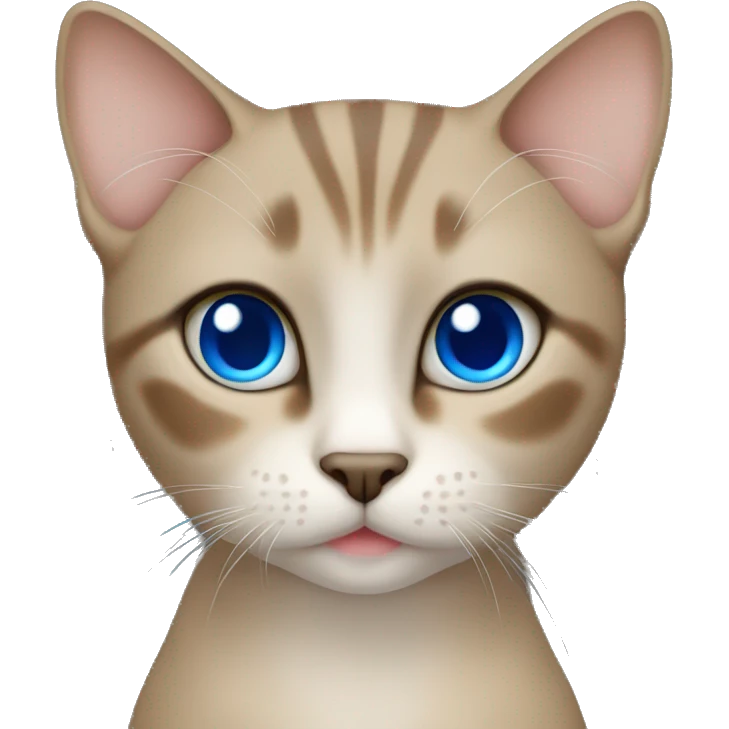 Dark Brown face - beige body thai female cat with blue eyes  emoji