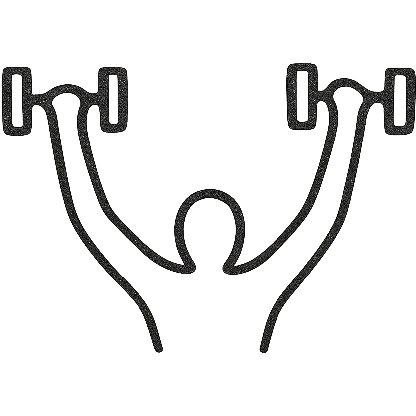 minimalist abstract representation of dumbbell fly, just arms and dumbbells emoji