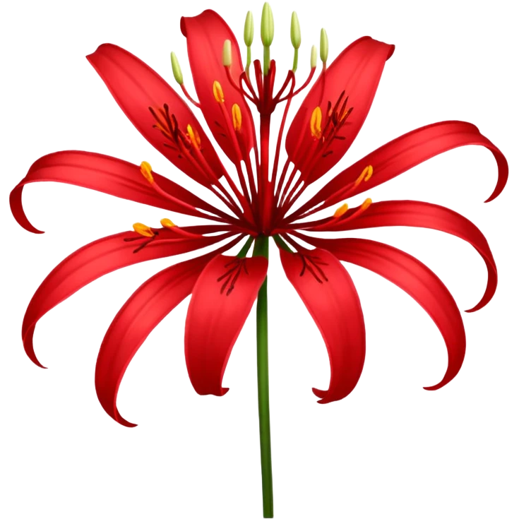 red spider lily lycoris radiata flower emoji