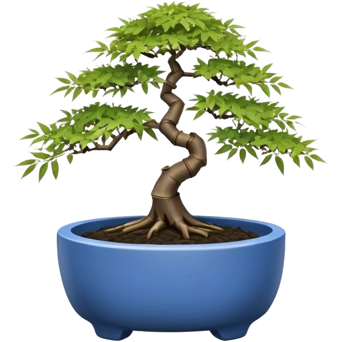 Japanese broken egg-shaped shallow dark bamboo blue maple tree bonsai pot emoji