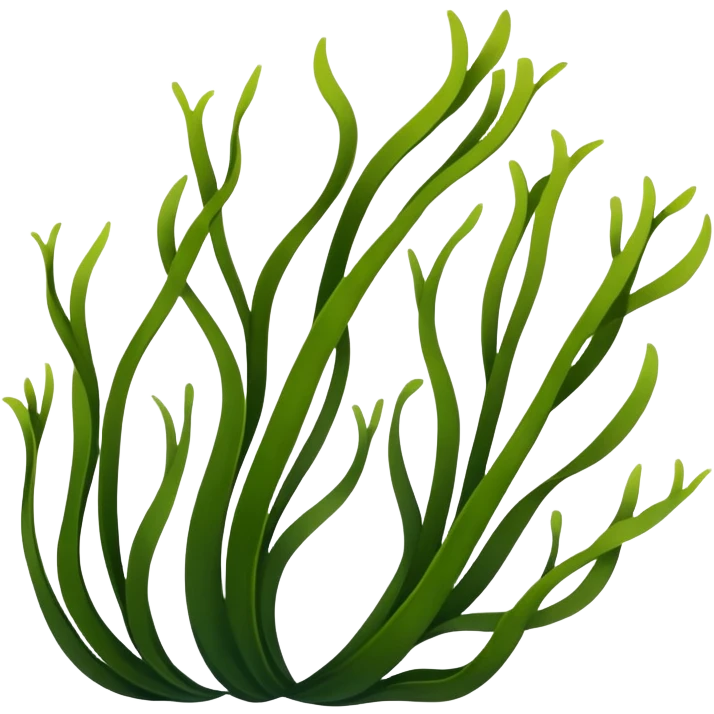 kelp emoji
