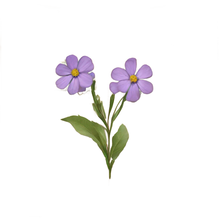 book with some pressed flowers on the pages  emoji