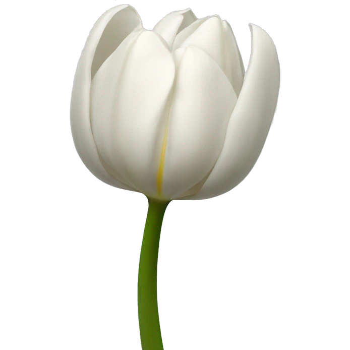 tulipe blanche  emoji