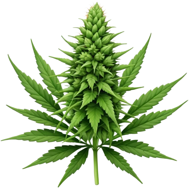 cannabis buds emoji