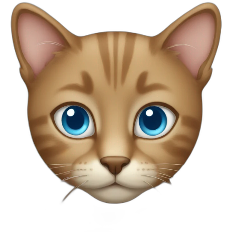 A brown cat with light blue eyes emoji