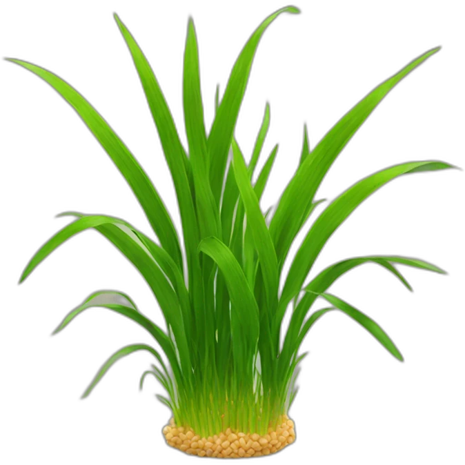 wheat grass emoji