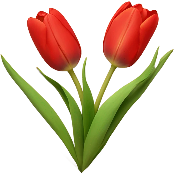 beige heart with tulips red emoji