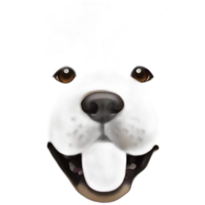 Chow chow, furry shiny dog cute, realistic, young, from far emoji