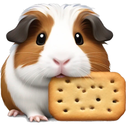 Guinea pig with a biscuit  emoji