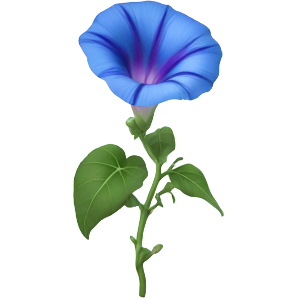 Morning Glory emoji