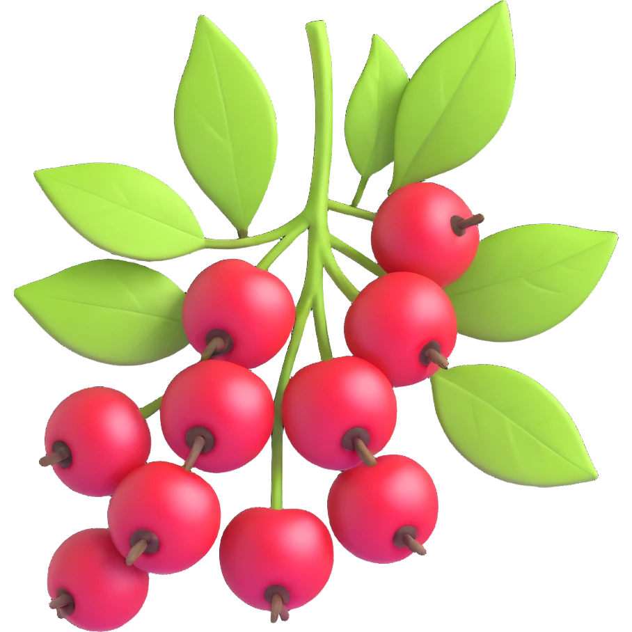Prunus mahaleb cherry branch with berries and leaves, 3D iOS style, harmony of realism and cartoon, bright colors, clean background emoji