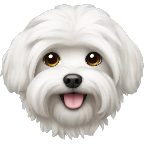 Maltipo white emoji