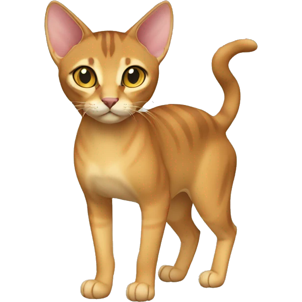 Chausie Cat Full Body emoji